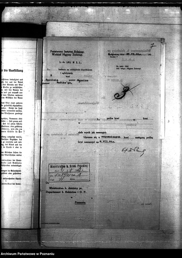 Obraz 11 z jednostki "Nosacizna - Sempolno"