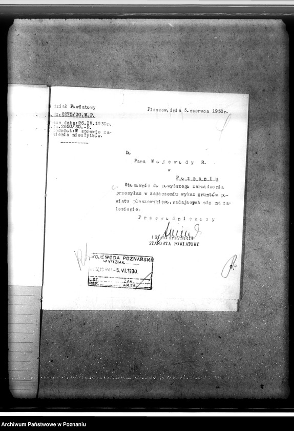 Obraz 9 z jednostki "Zalesienie nieużytków w powiecie jarocińskim"