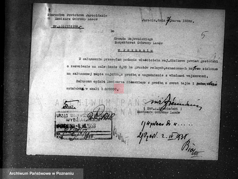 Obraz 9 z jednostki "/Zalesienie gruntów ornych/"