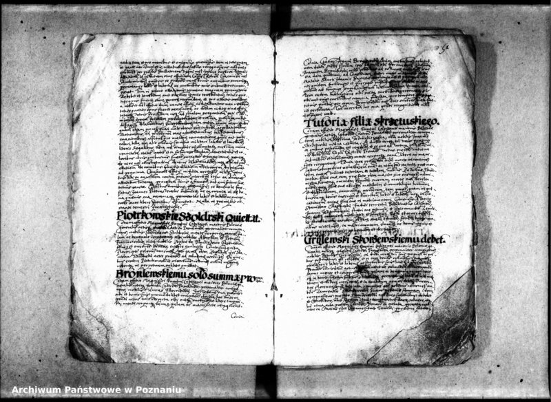 Obraz 7 z jednostki "Inscriptiones [inducta]"