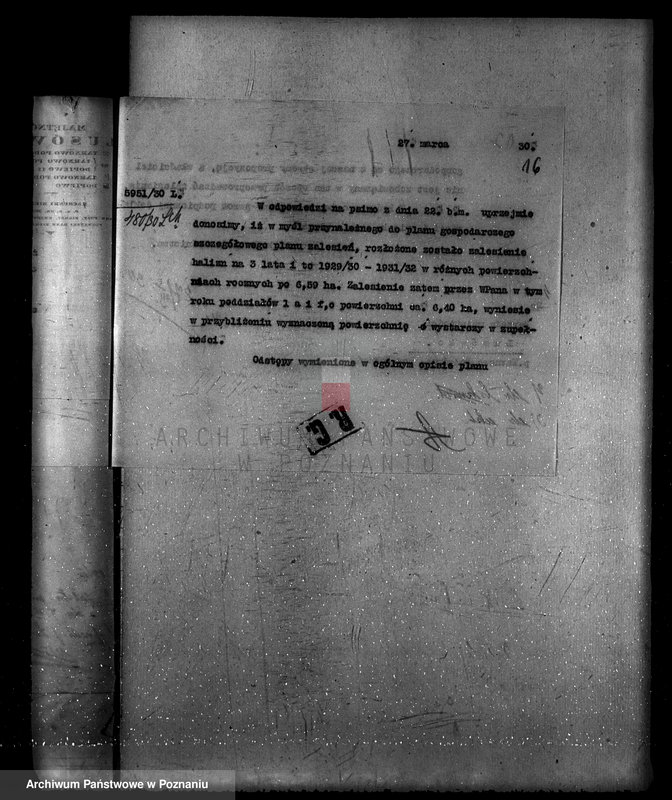 Obraz 20 z jednostki "Zarząd majętności Lusówko powiat poznański/ nadzór nad gospodarką leśną/"