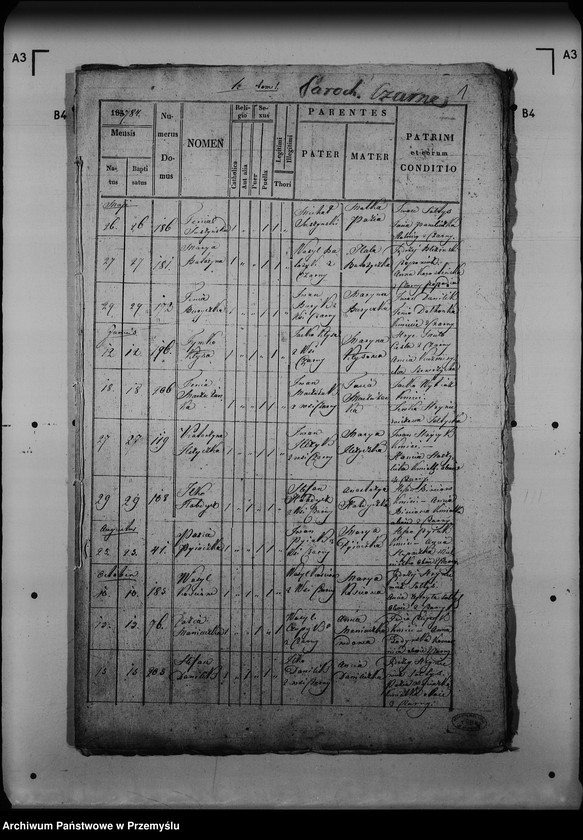 Obraz 5 z jednostki "[Kopie ksiąg metrykalnych parafii Czarna z filią Żołobek (dekanat Lutowiska)]"