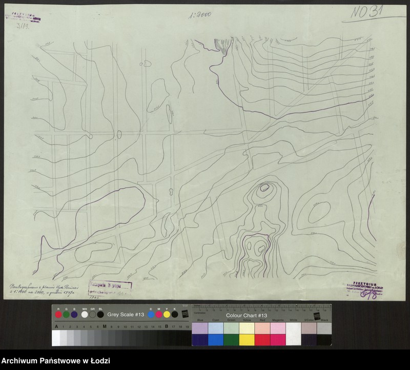 Obraz 1 z jednostki "Plan sytuacyjno-warstwicowy m. Łodzi. Sekcja NO31"