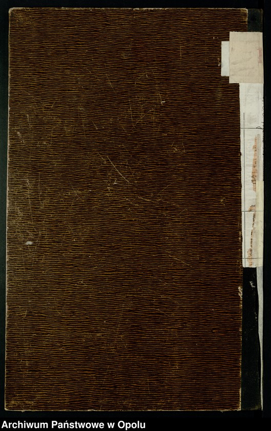 Obraz 15 z jednostki "Heiraths-Neben-Register Standes-Amt Riebnig 1905"