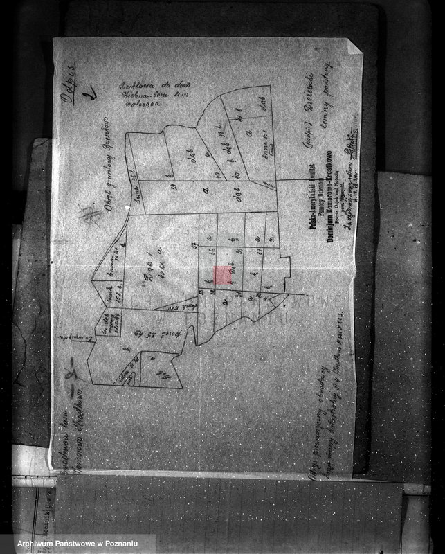 Obraz 6 z jednostki "Majętność leśna Komorowo powiat wyrzyski"