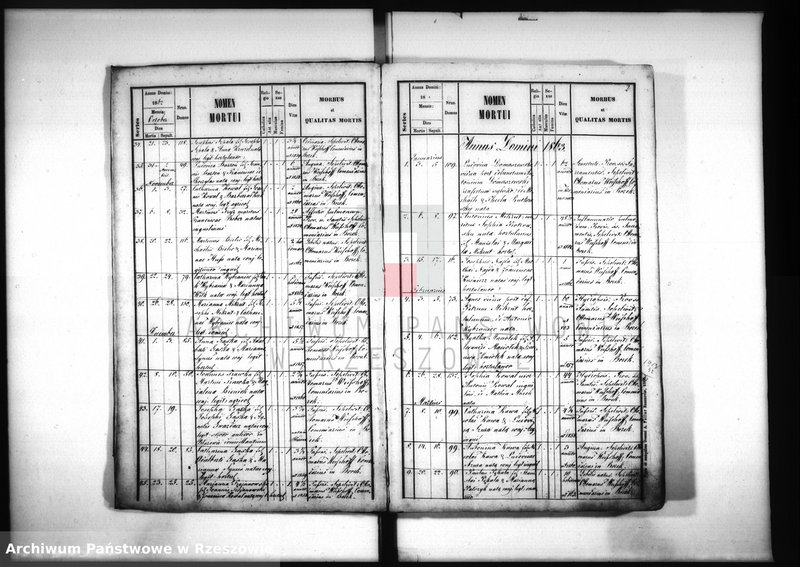 image.from.unit.number "Księga zgonów - Borek Nowy"