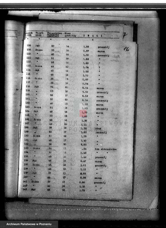 Obraz 20 z jednostki "Lasy miasta Dąbie powiatu kolskiego"