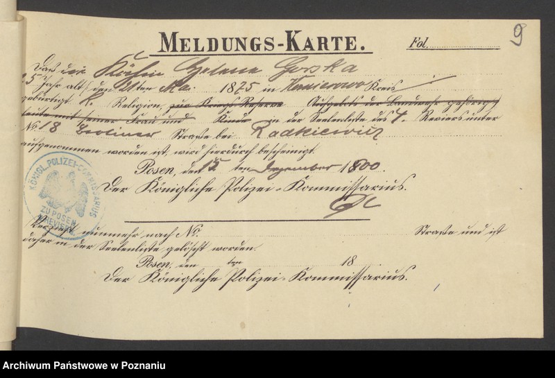 Obraz 11 z jednostki "Die von den Verlobten beigebrachten Urkunden zur Eheschliessung pro 1901. Vol I"