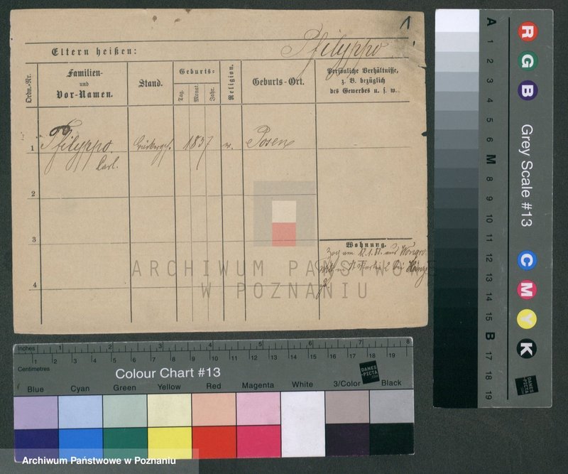 Obraz 3 z jednostki "Pfeifke - Pfleging"