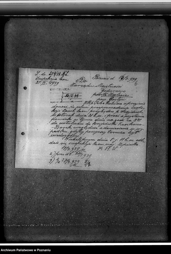 Obraz 10 z jednostki "Majętność leśna Godurowo w powiecie gostyńskim"