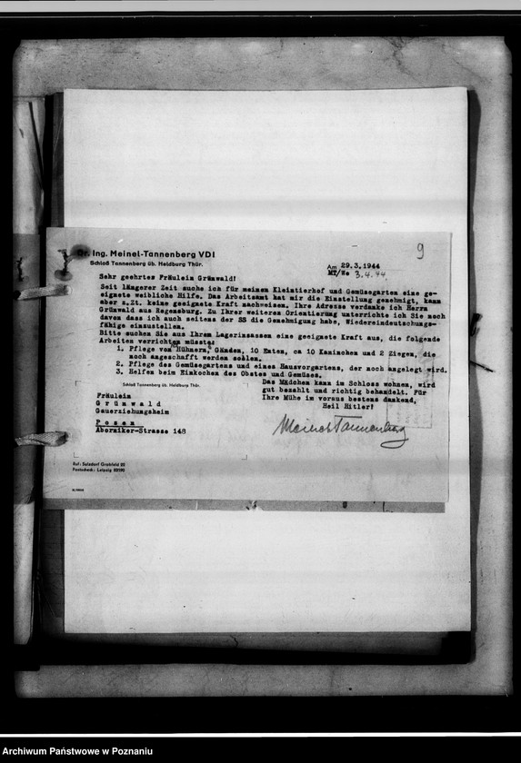 Obraz 13 z jednostki "Anträge auf Überweisung von Fürsorgezöglingen in den Dienst."