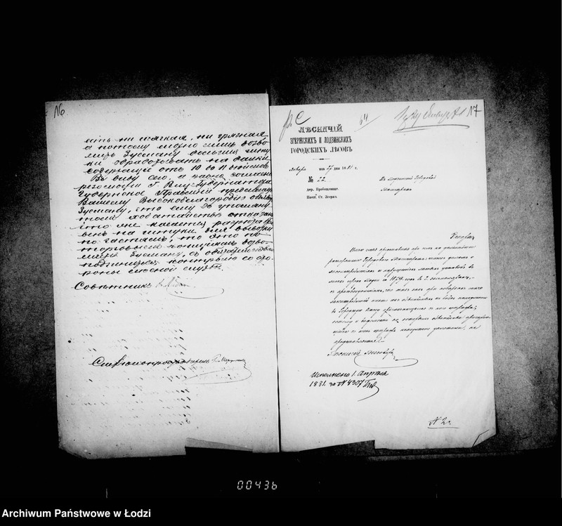 Obraz 20 z jednostki "O gorodskich lesach"