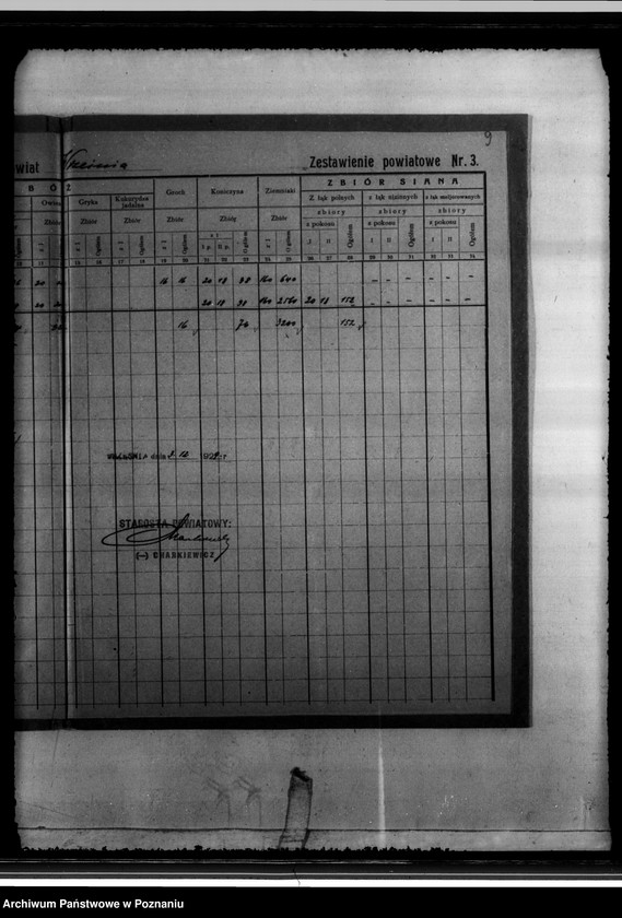 Obraz 13 z jednostki "/Statystyka produkcji rolnej - zestawienie powiatowe - Września/"