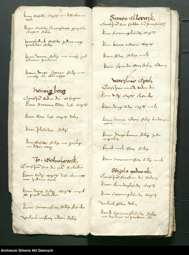 image.from.unit.number "Conscripcio curiensium et cubiculariorum Rmtis AD 1497 in Radom per Petrum Shidlo[wyeczki]."