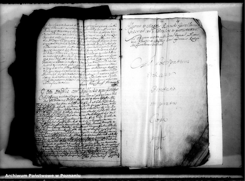 Obraz 6 z jednostki "Relationes [protocollon]"