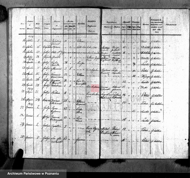 Obraz 20 z jednostki "Liber baptisatorum, copulatorum, mortuorum"