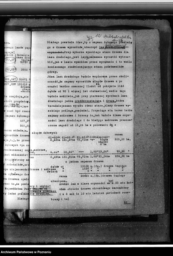 Obraz 16 z jednostki "Majętność /leśna/ Pępowo w powiecie gostyńskim"