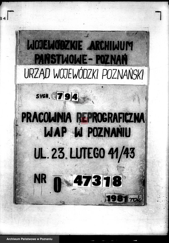 Obraz 1 z jednostki "Klub Sportowy,,Stella" w Żabikowie/"