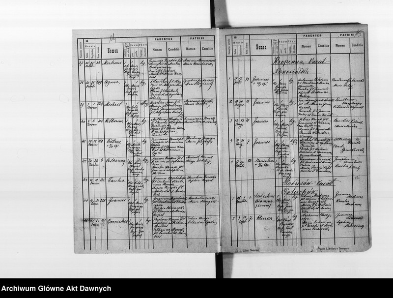 image.from.unit.number "Parafia: Dunajów. Dekanat: Brzeżany. Księga metrykalna urodzeń, ślubów i zgonów dla miasta Dunajów i wsi: Białe, Ciemierzyńce, Kropiwna*, Nowosiółka, Podusów, Poluchów, Potoczany, Rekszyn z Pisarówką, Wicyń*."