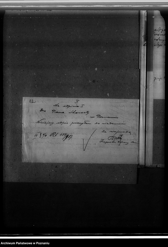 Obraz 16 z jednostki "Nadzór nad gospodarką w lasach majątku Szreniawa powiat poznański"