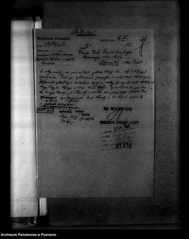 Obraz 16 z jednostki "Majętność leśna Powodowo powiat wolsztyński"