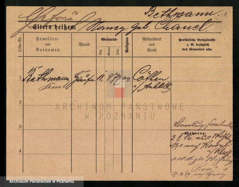 Obraz 3 z jednostki "Bete - Białagłowska"