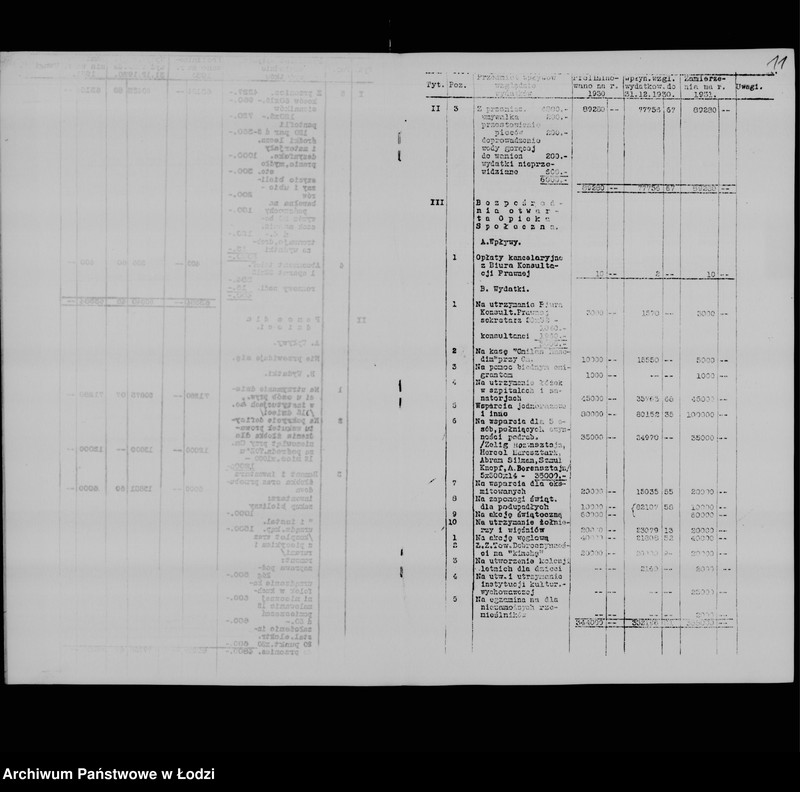 Obraz 14 z jednostki "Zamierzenia skarbowe na rok 1931"