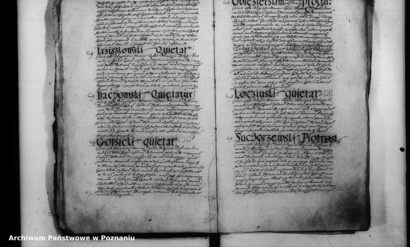 Obraz 11 z jednostki "Inscriptiones [inducta]"