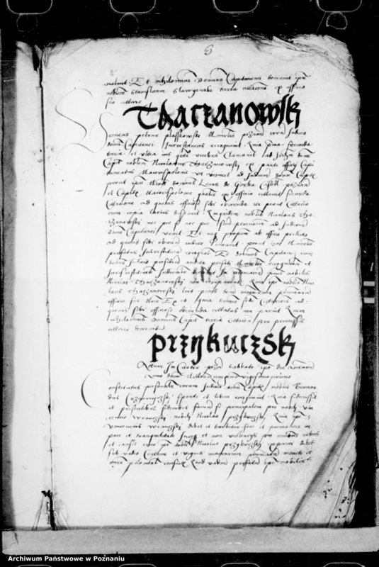 Obraz 7 z jednostki "Inscriptiones, relationes, decreta [inducta]"