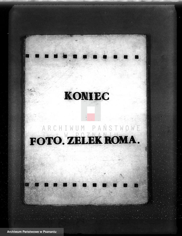 Obraz 9 z jednostki "Las gromady Dominowo powiat średzki"