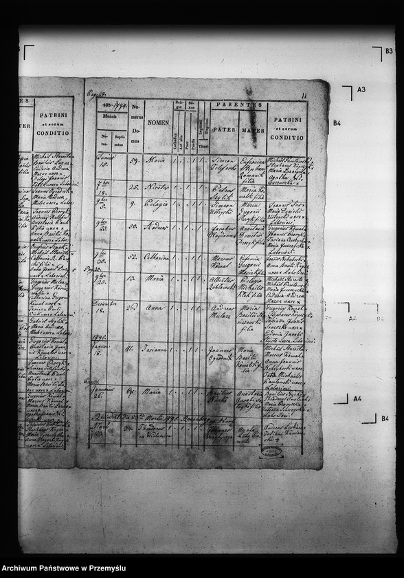 Obraz 15 z jednostki "[Kopie ksiąg metrykalnych parafii Drozdowice z filiami Stroniowice, Wielunice (dekanat Niżankowice)]"