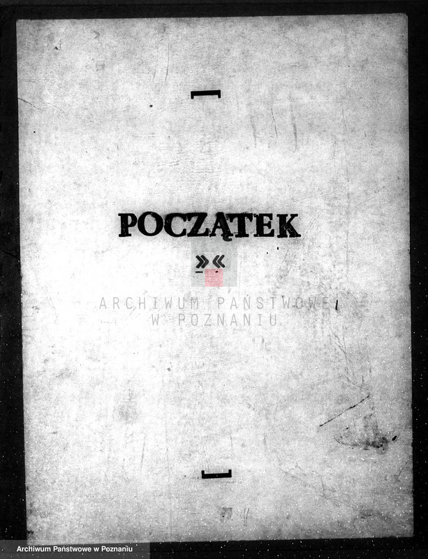Obraz 3 z jednostki "Majętność leśna w Mielnie w powiecie gnieźnieńskim"