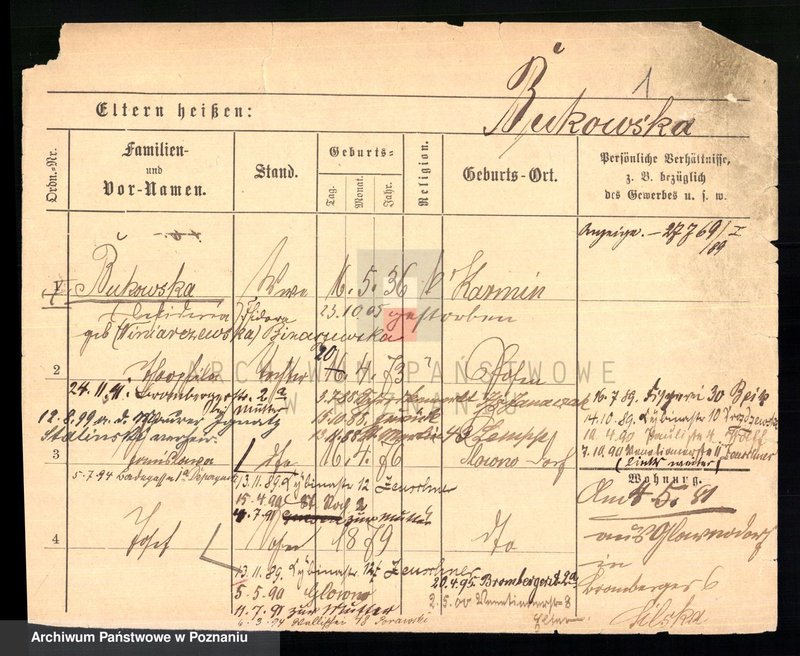 Obraz 3 z jednostki "Buk - Bukowitz"