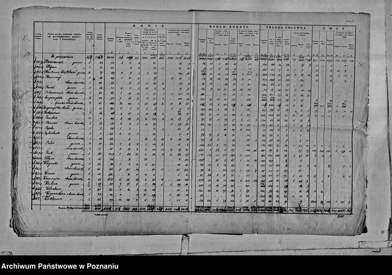 Obraz 15 z jednostki "Spis koni, bydła, trzody chlewnej i owiec - zestawienie z terenu powiatu średzkiego"
