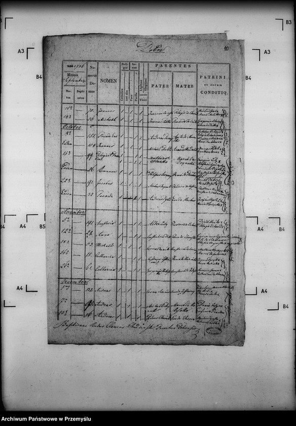 Obraz 14 z jednostki "[Kopie ksiąg metrykalnych parafii Dobra (dekanat Sieniawa)]"