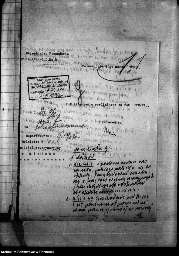 Obraz 5 z jednostki "Budżet weterynaria na rok 1921"