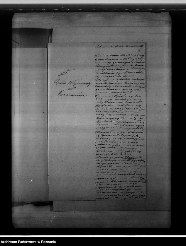 Obraz 5 z jednostki "Różności miasta Sulmierzyc"