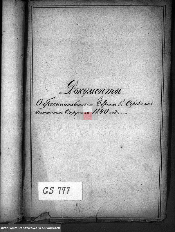 image.from.unit.number "Dokumenty o brakososčetavšichsja Evrejach v Serejskom božničnom Okruge za 1890 god"