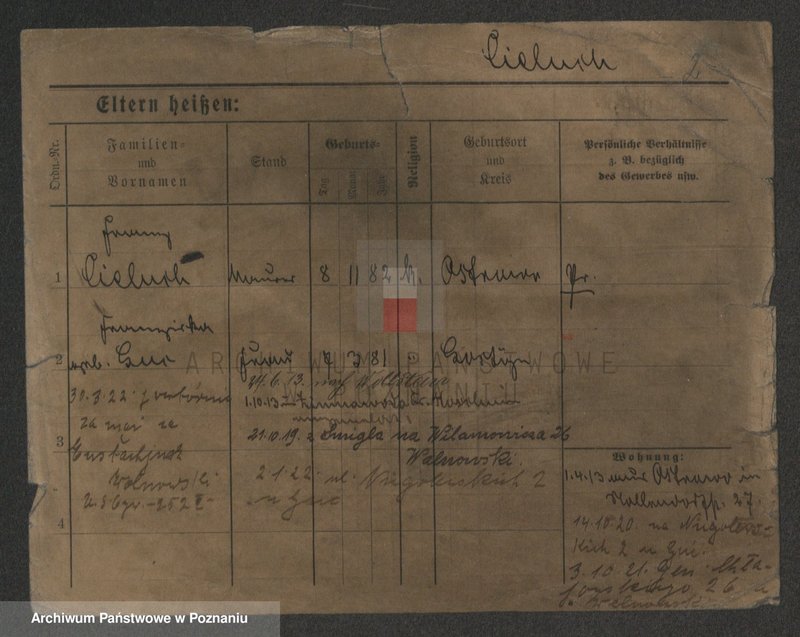 Obraz 4 z jednostki "Cieluch - Ciesielczyk"