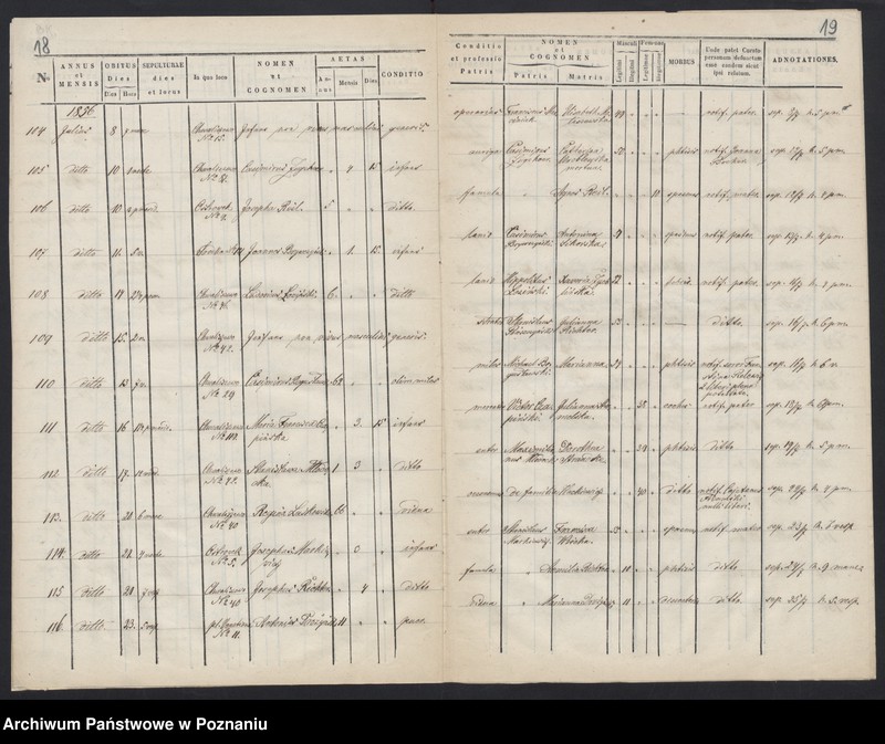 Obraz 12 z jednostki "Księga zgonów"