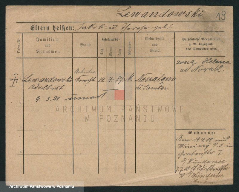 Obraz 19 z jednostki "Lewandowski (żonaci i wdowy)"