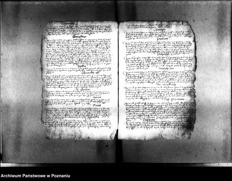 Obraz 12 z jednostki "Resignationes ,inscriptiones, relationes, decreta [protocollon]"