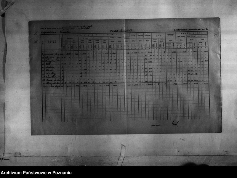 Obraz 12 z jednostki "/Statystyka produkcji rolnej - zestawienie powiatowe dotyczące zbiorów z terenu powiatu międzychodzkiego/"