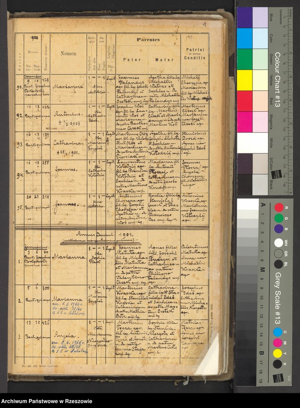 image.from.unit "Księga urodzeń miejscowości Trzeboś"