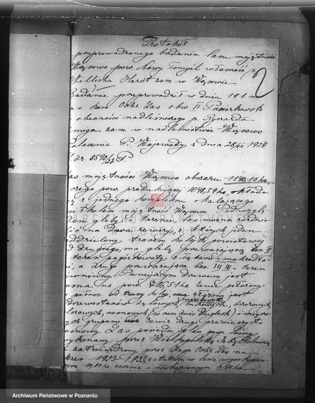 Obraz 7 z jednostki "Majętność leśna Wąsowo w powiecie nowotomyskim"