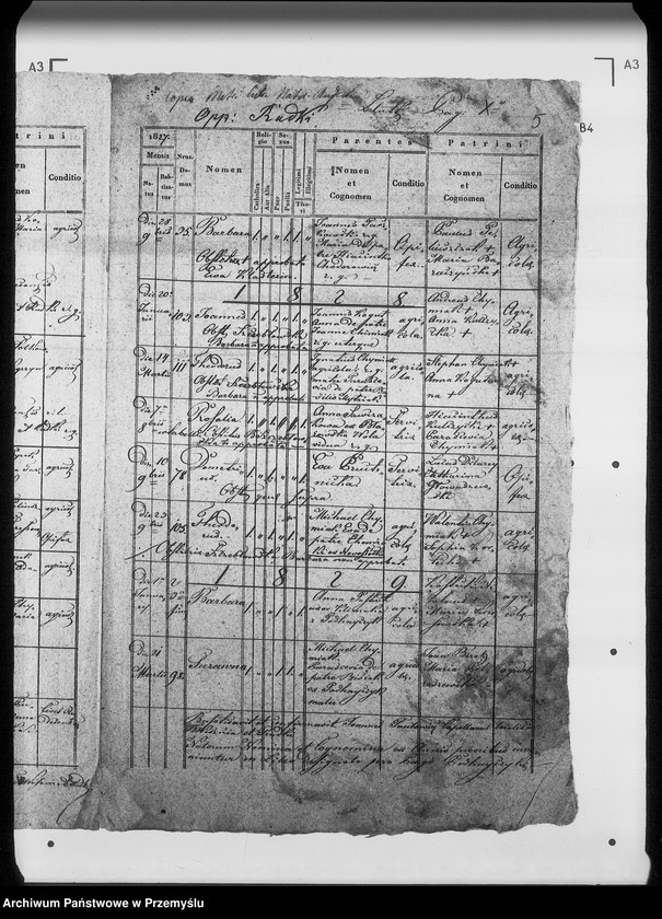 Obraz 9 z jednostki "[Kopie ksiąg metrykalnych parafii Rudki (dekanat Rudki)]"