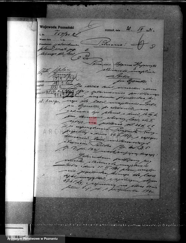 Obraz 13 z jednostki "Majętność leśna w Sarbii w powiecie czarnkowskim"