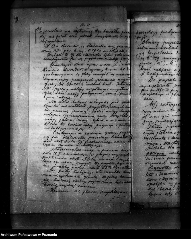 Obraz 15 z jednostki "Las majątku Napoleonów nr 1 własność Eweliny Wisłockiej powiat turecki"