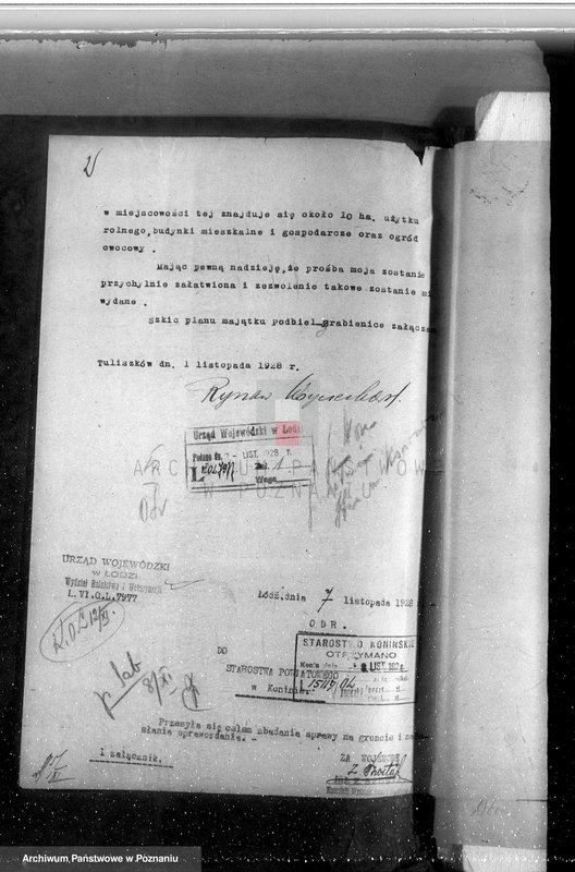 Obraz 6 z jednostki "Majątek Grabienice powiat koniński /nadzór nad gospodarką leśną/"