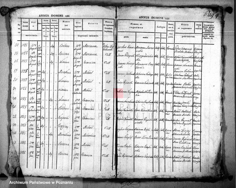 image.from.unit.number "Duplikat baptisatorum, copulatorum u. mortuorum"